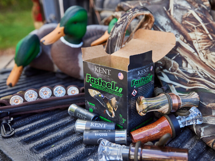 duck hunting basics